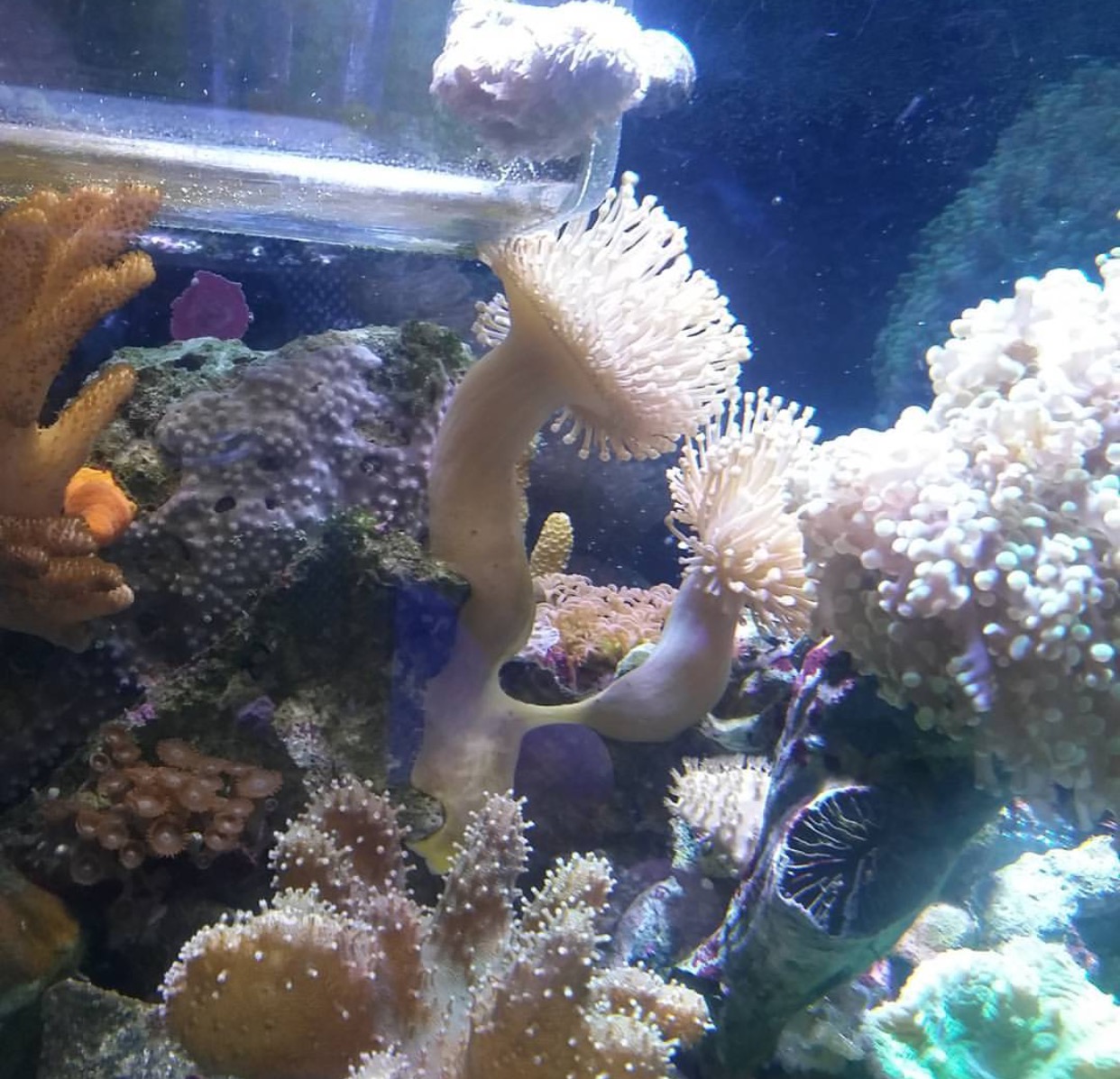 Natural Seawater (Sea Water) Supplier NSW Delivered Nationwide