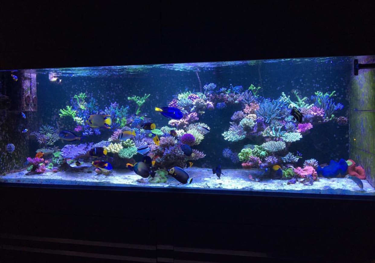 Natural Seawater (Sea Water) Supplier NSW Delivered Nationwide