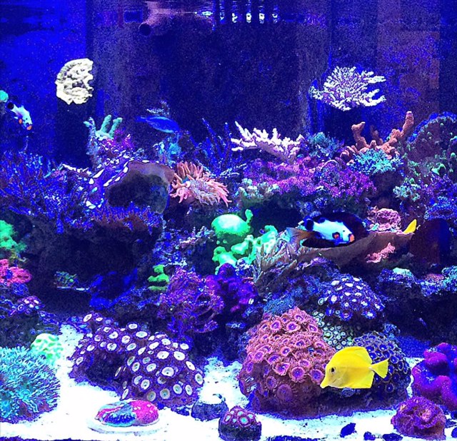 Natural Seawater (Sea Water) Supplier NSW Delivered Nationwide