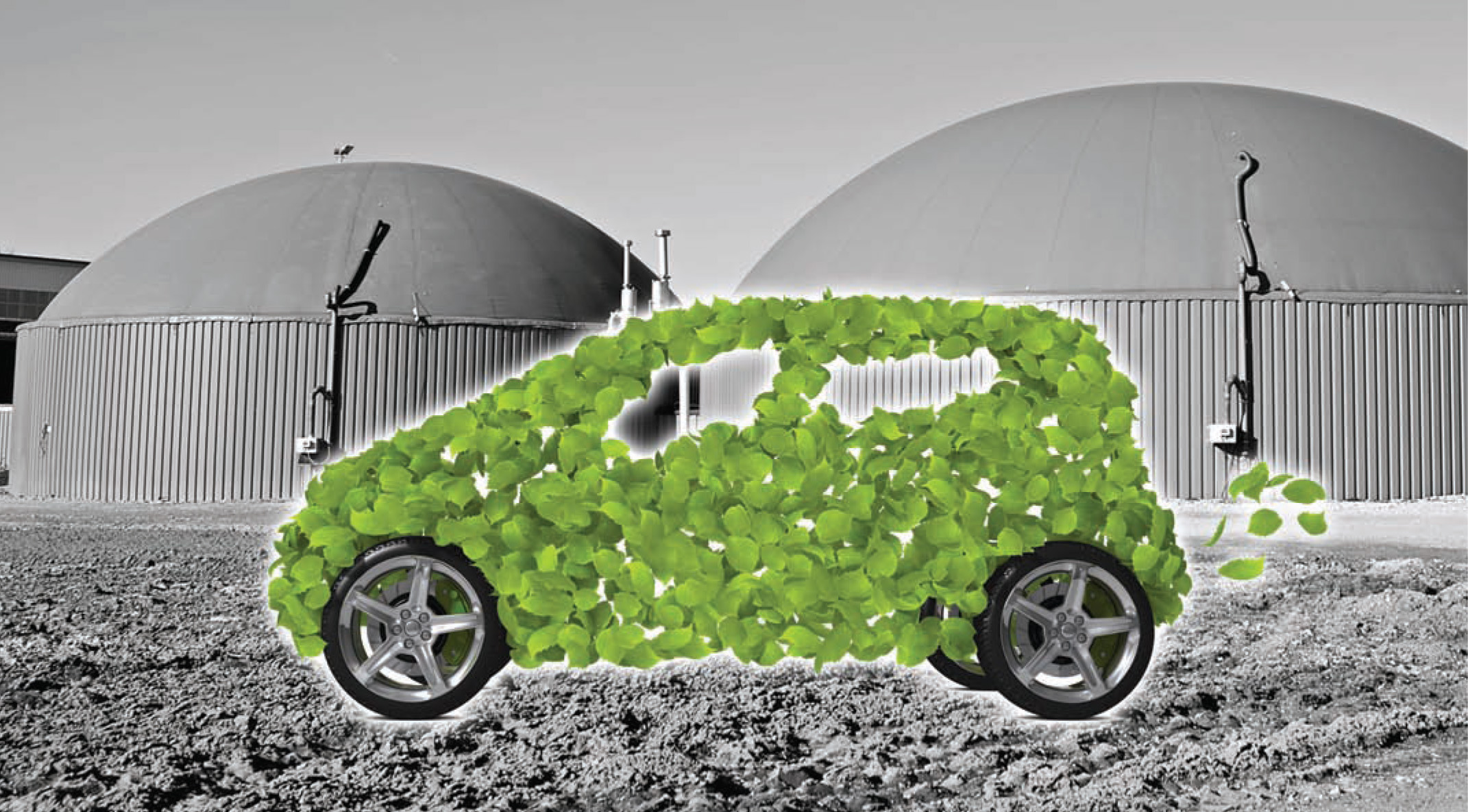 Green Fuel Exploring the potential of biogas for vehicles Renewable