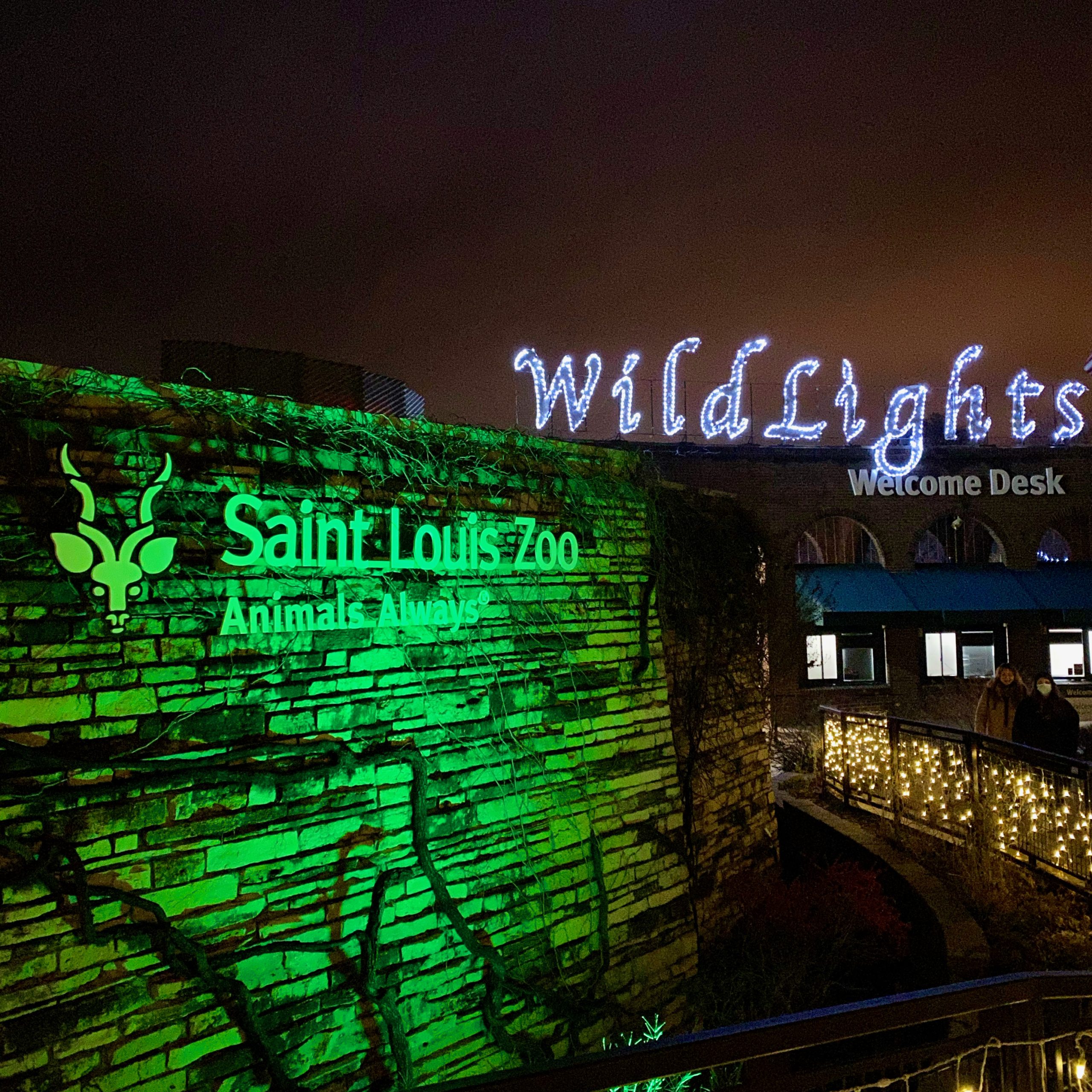 Wild Lights at the St. Louis Zoo Amanda Markel