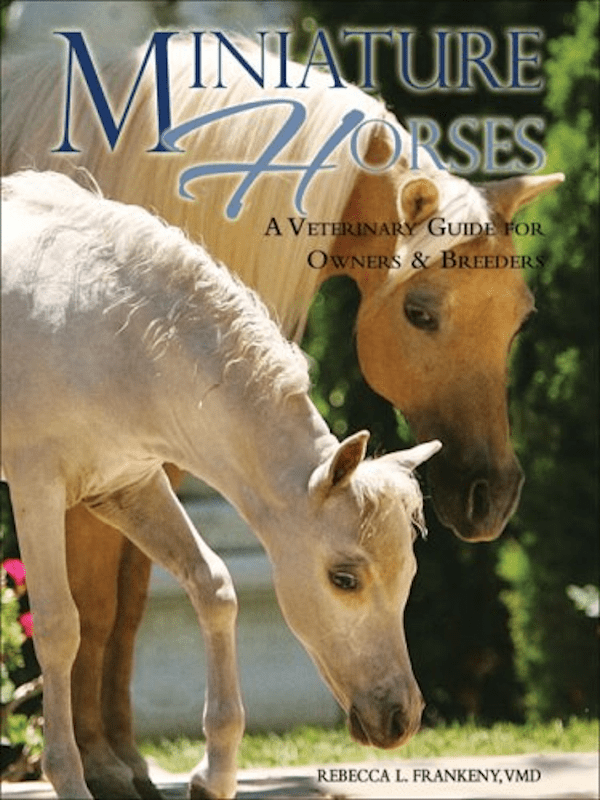 Miniature Horses A Veterinary Guide for Owners and Breeders Big