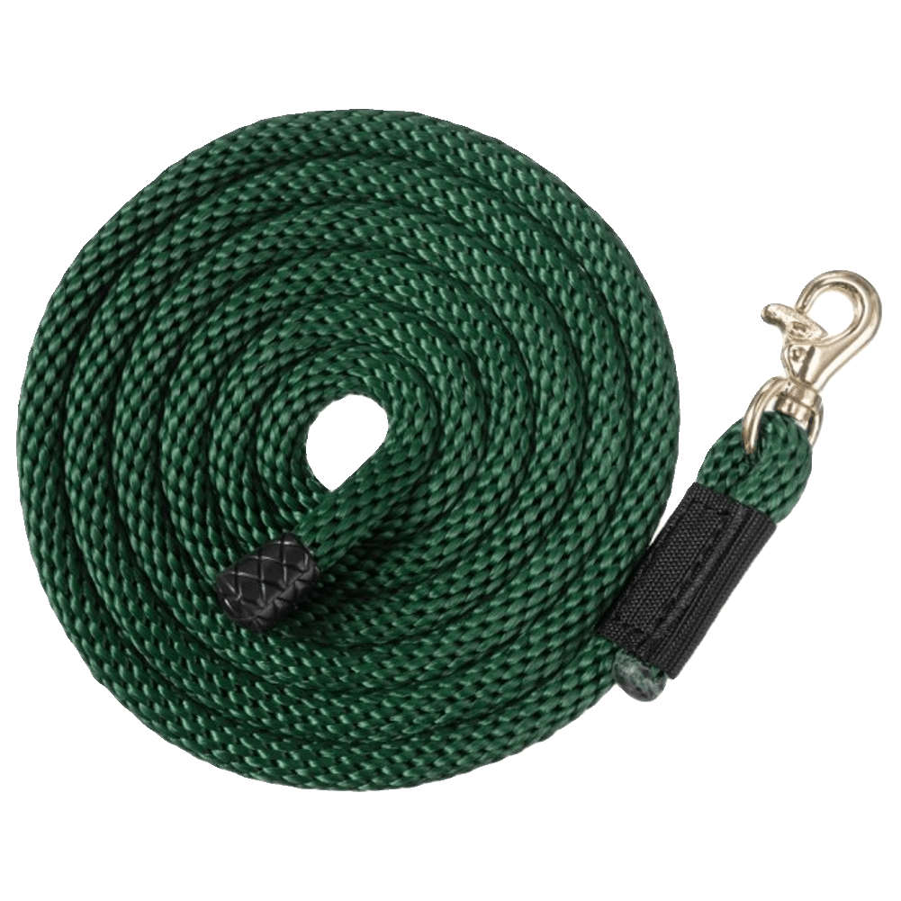 Miniature Horse Lead Rope / Dog Leash Big Black Horse, LLC