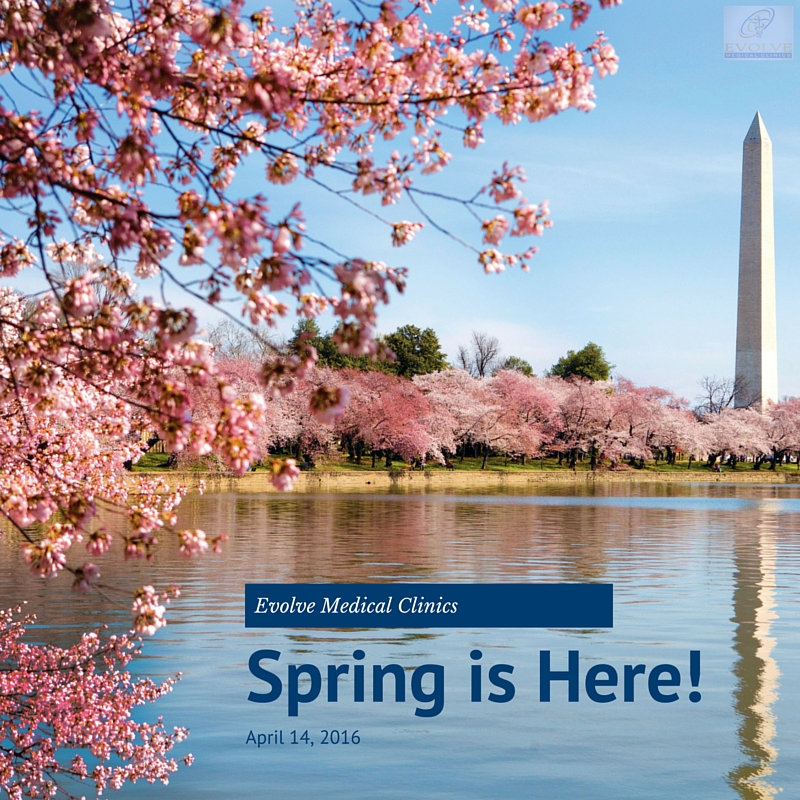 Primary Care Update Maryland Spring Allergies Evolve Direct Primary Care