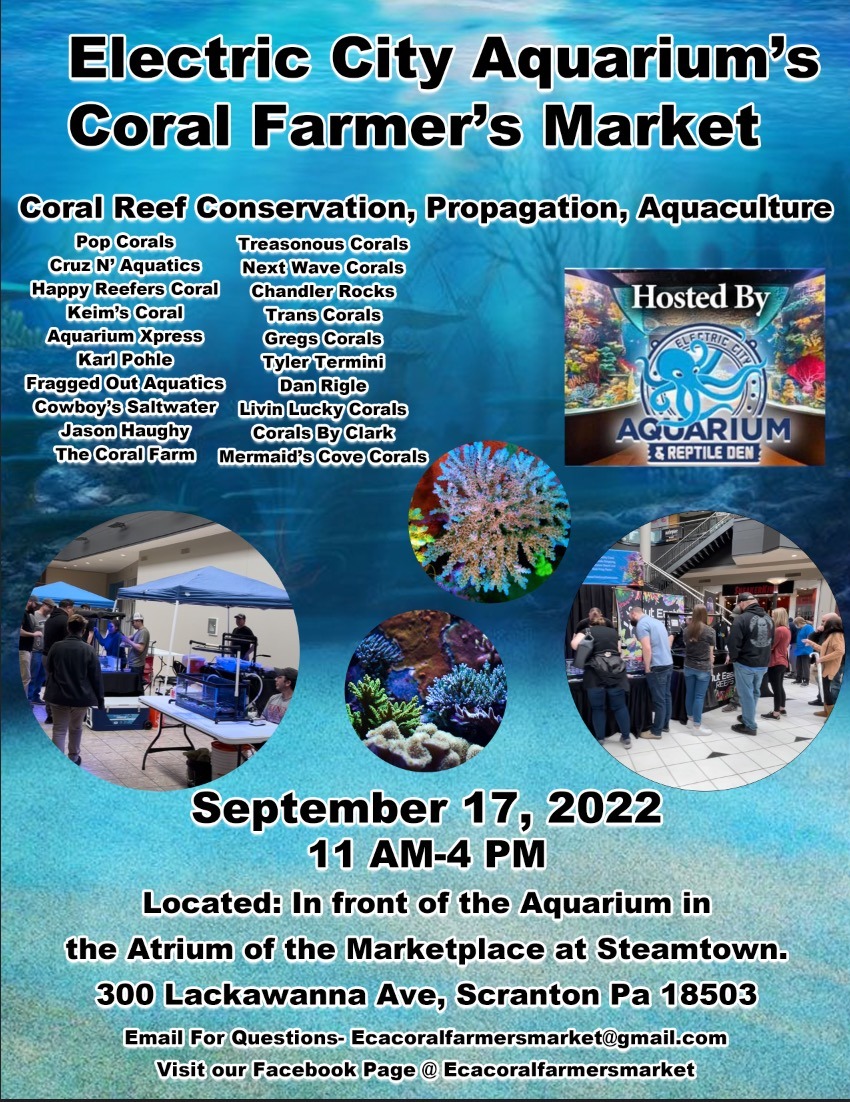 Coral Farmer's Market Electric City Aquarium & Reptile Den