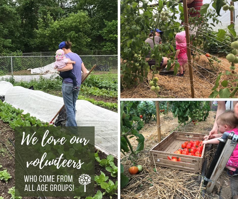 Jessica and Leta Two Binghamton Urban Farm Volunteers VINES