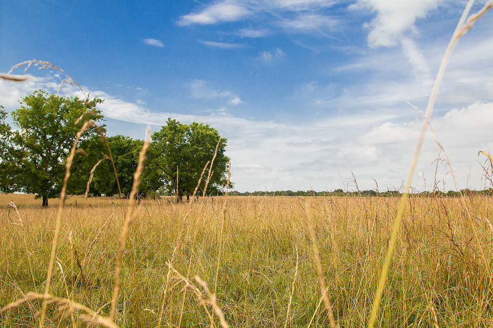 Should You Buy Landlocked Property