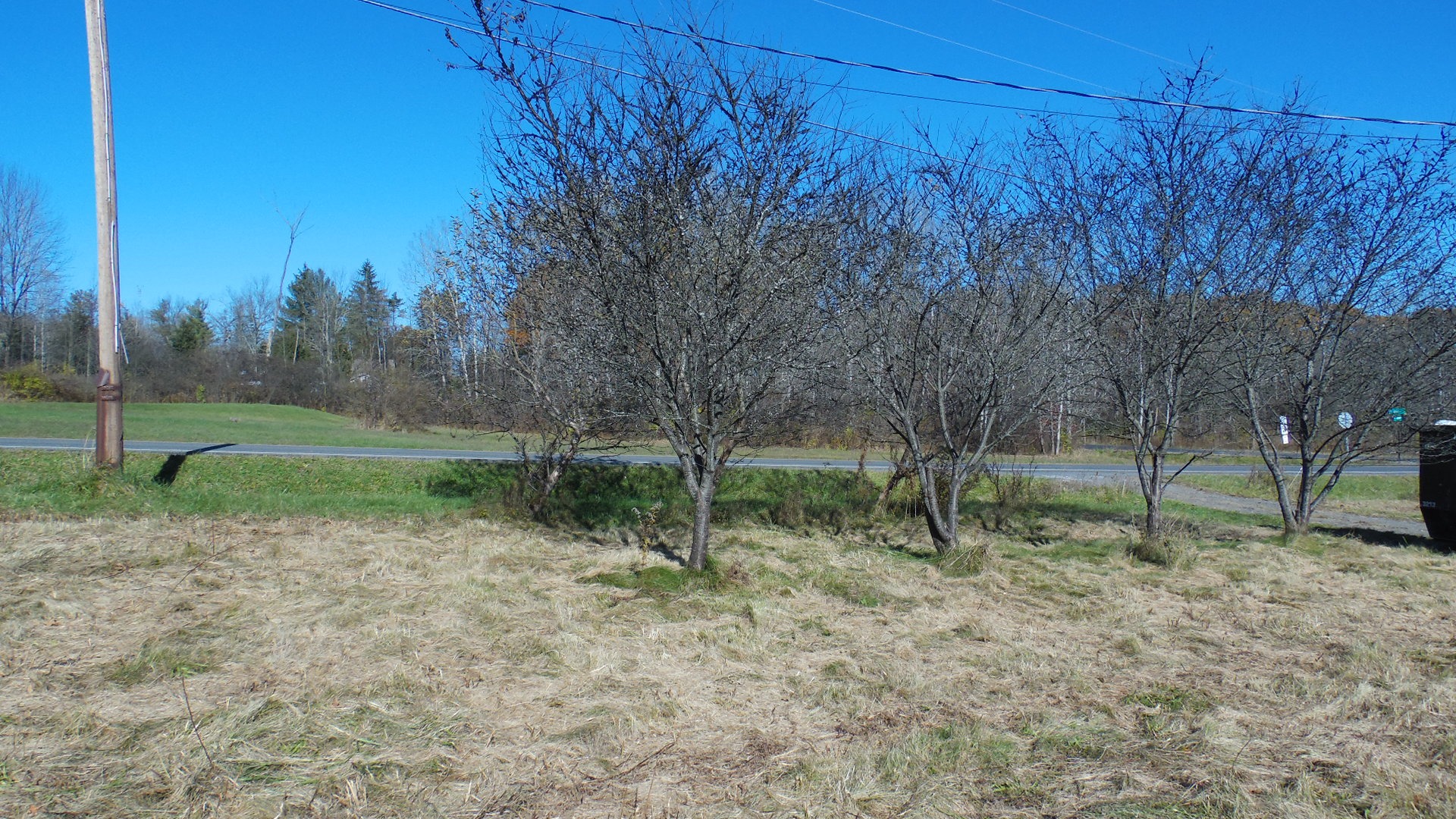 Absolute Real Estate Auction in Freeville, NY December 4, 2021 Z and