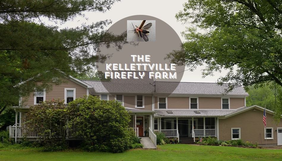 Kellettville Firefly Farm Visit PA Great Outdoors