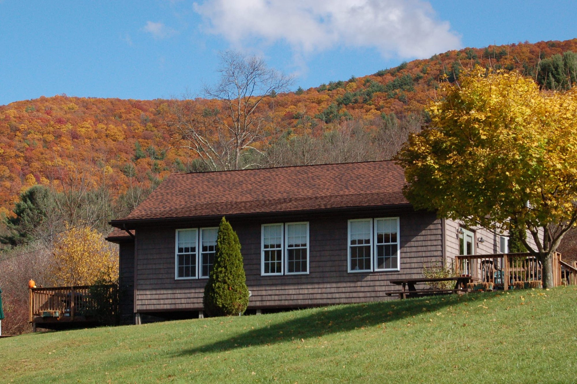 Misty Pines Visit PA Great Outdoors