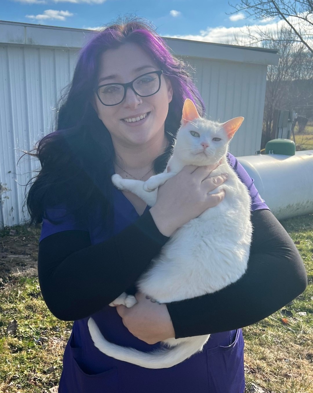 About Chenango Animal Hospital Veterinarian in Binghamton, NY