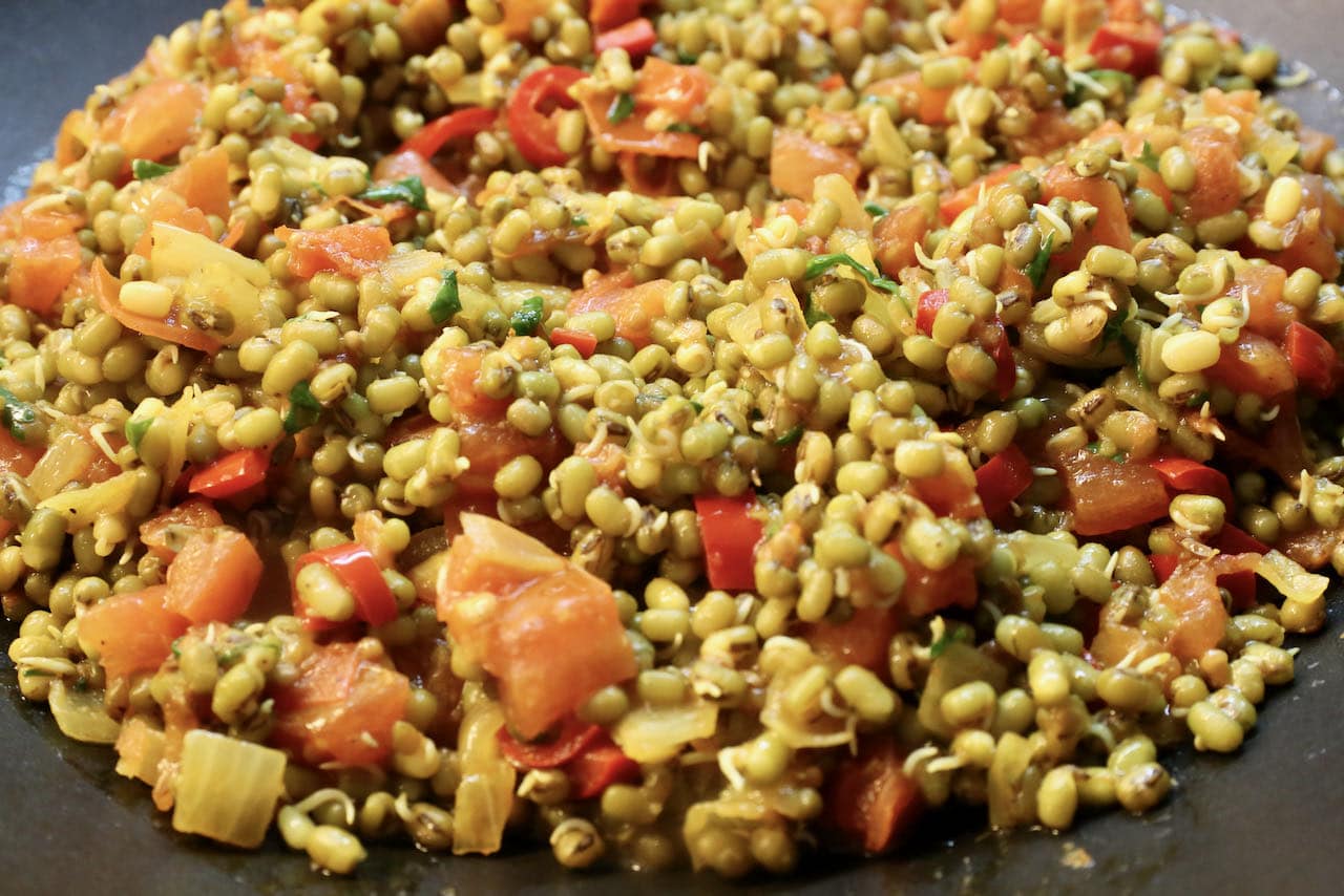 Warm Indian Vegan Sprouted Mung Bean Salad Recipe dobbernationLOVES