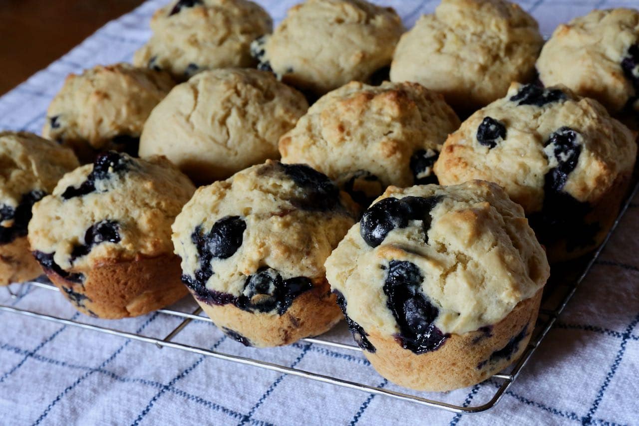 Blueberry Lemon Ricotta Cheese Muffins Recipe