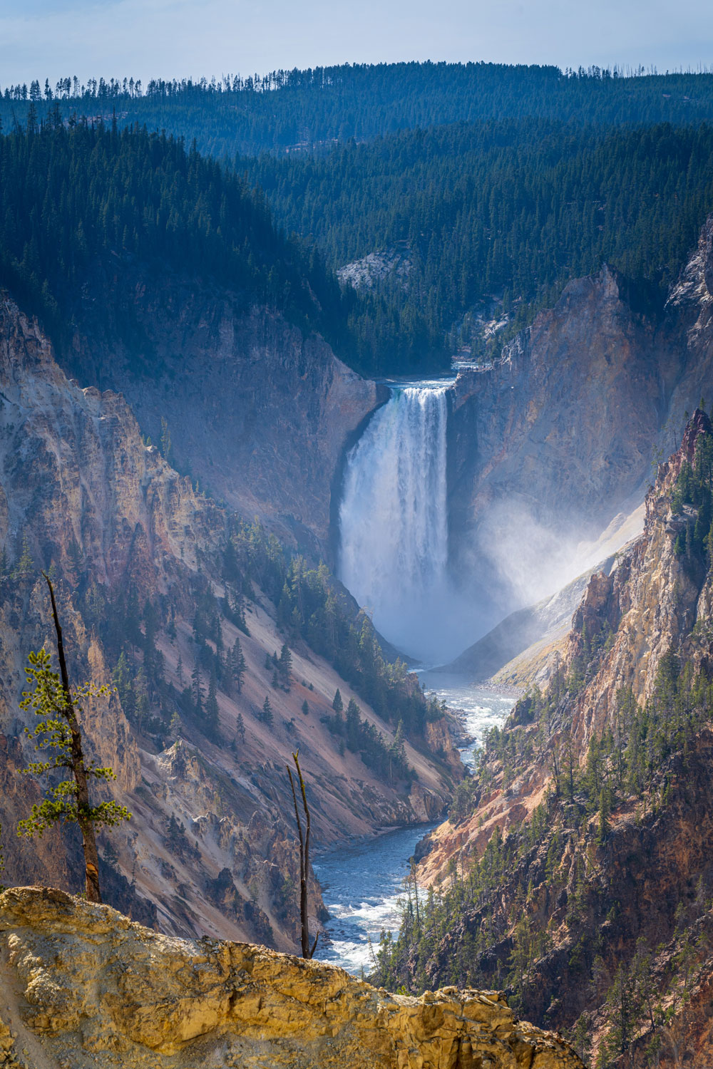 A Local's Guide to Yellowstone National Park Samantha Brown's Places