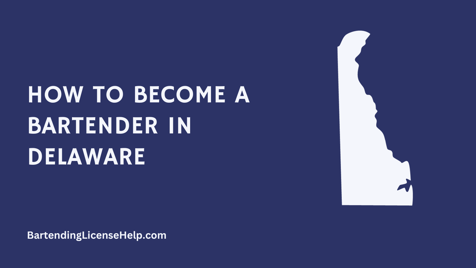 What Is The Legal Age To Bartend at Summer Word blog