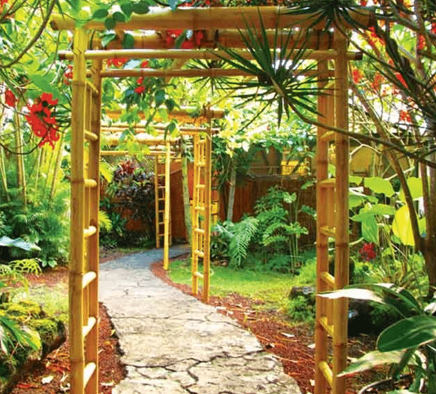 A Guide To Hawaii’s Botanical Gardens Kona Directory
