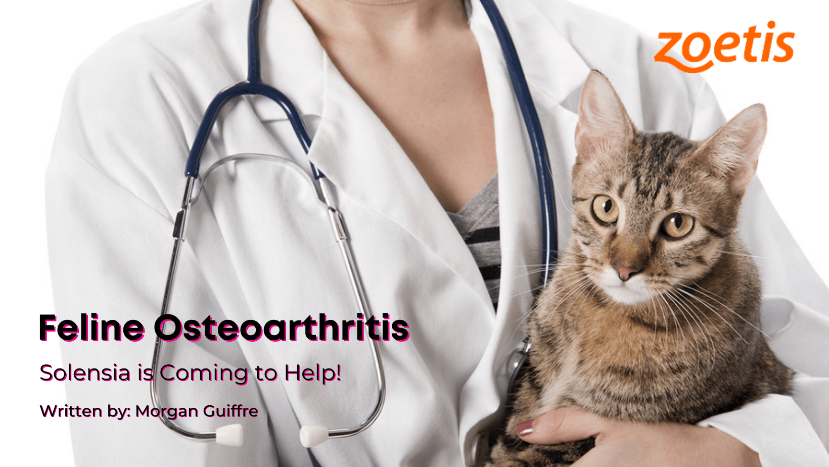 Wellness Wednesday Solensia is Coming to Help! All Four Paws