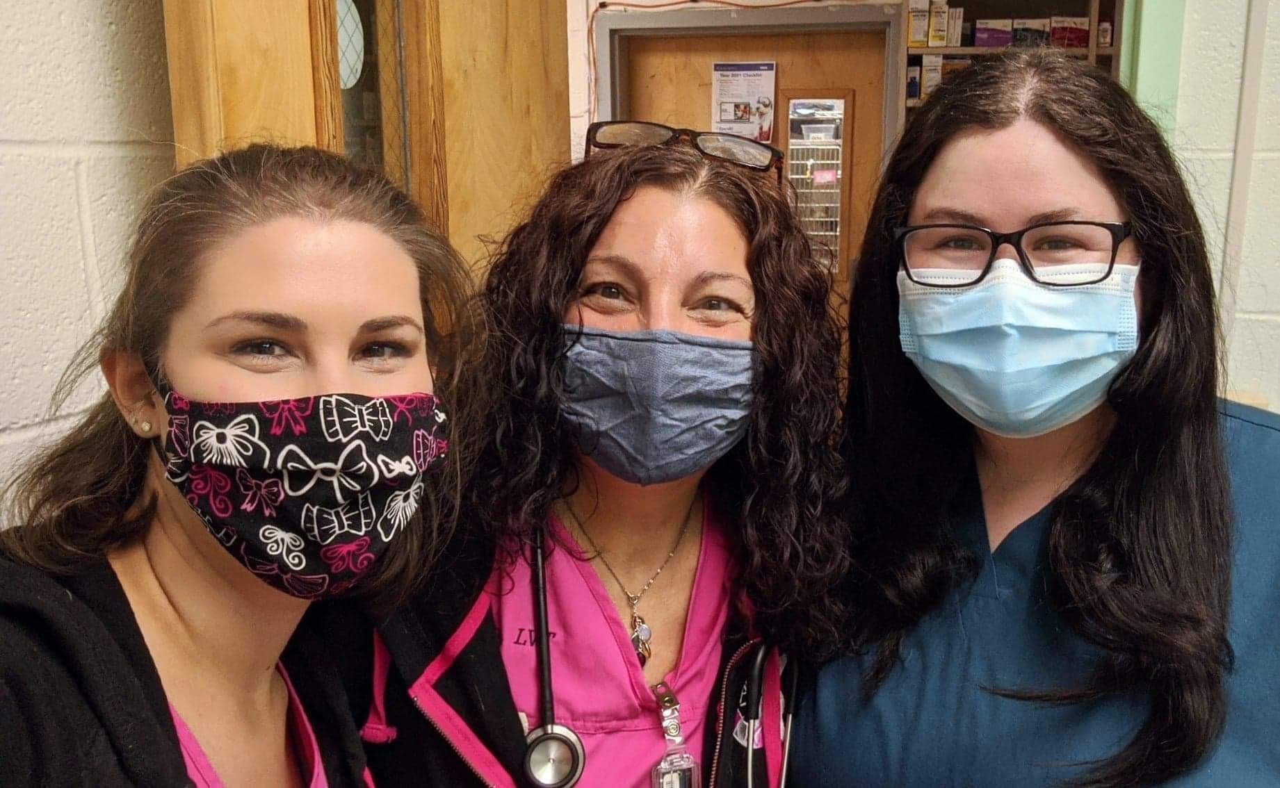 About Our Veterinary Relief Services All Four Paws Veterinary Relief