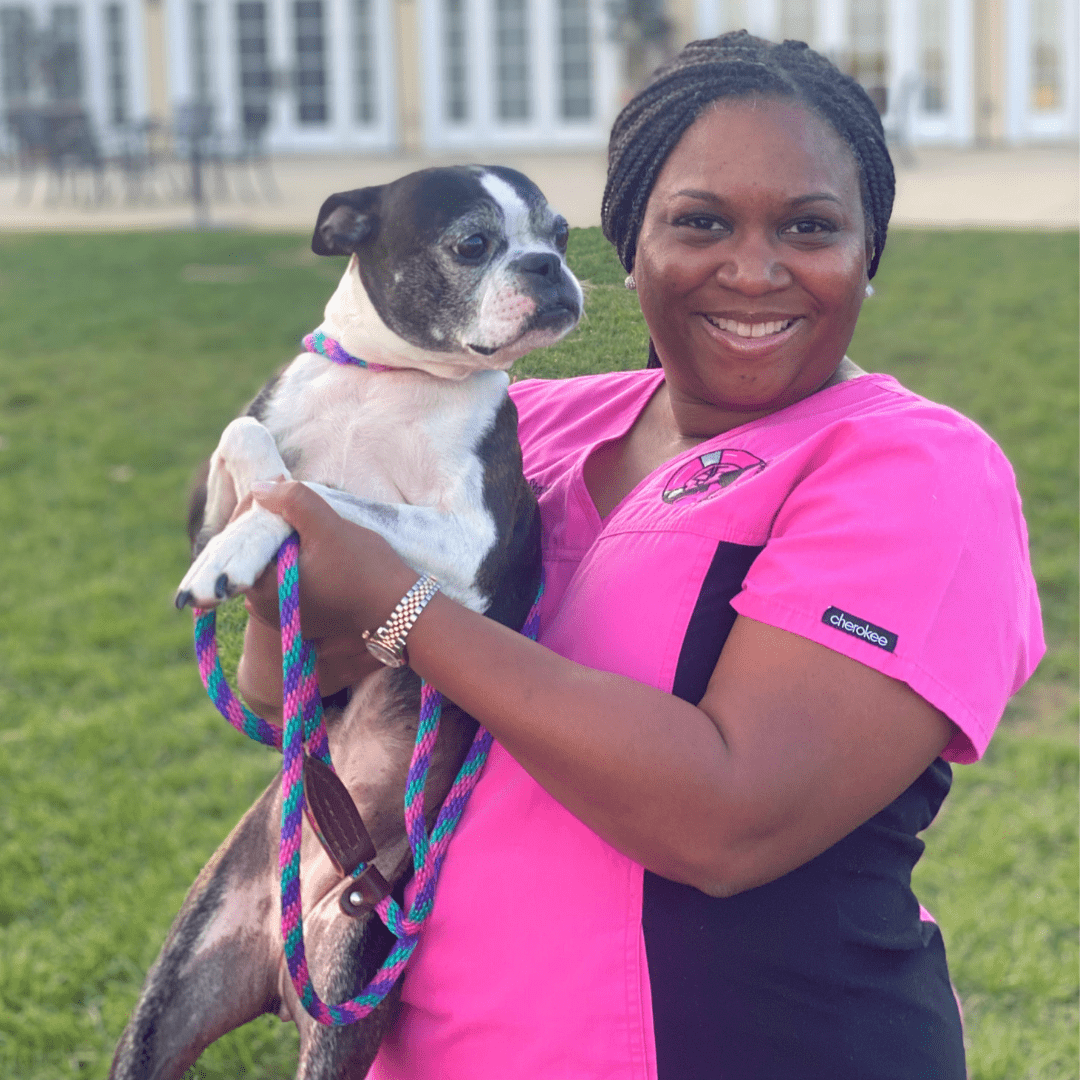 About Our Veterinary Relief Services All Four Paws Veterinary Relief