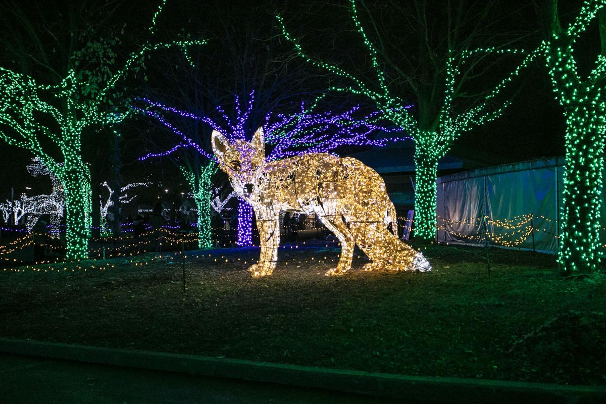 Wild Lights at the Detroit Zoo CheckItOff Travel Custom Travel Planning