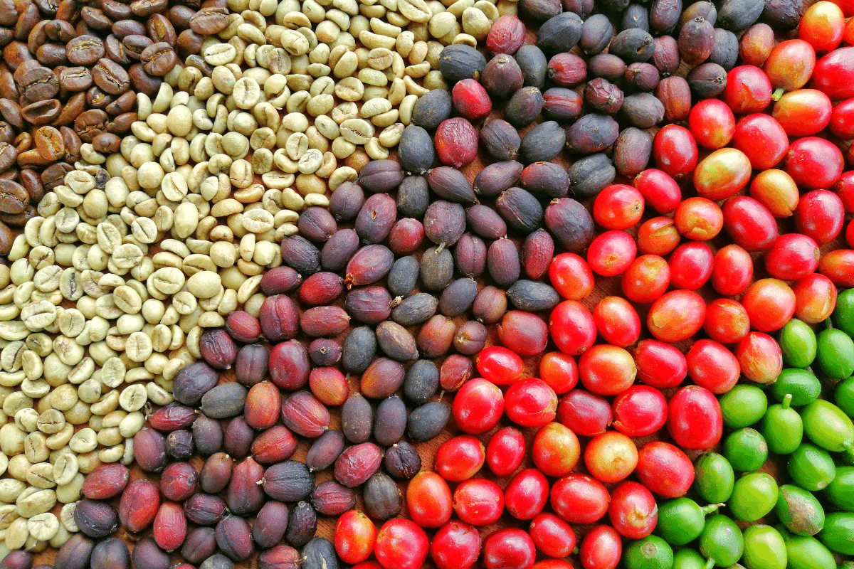 2021 Best of Yemen Coffee Auction Drove High Prices Restaurant & Café