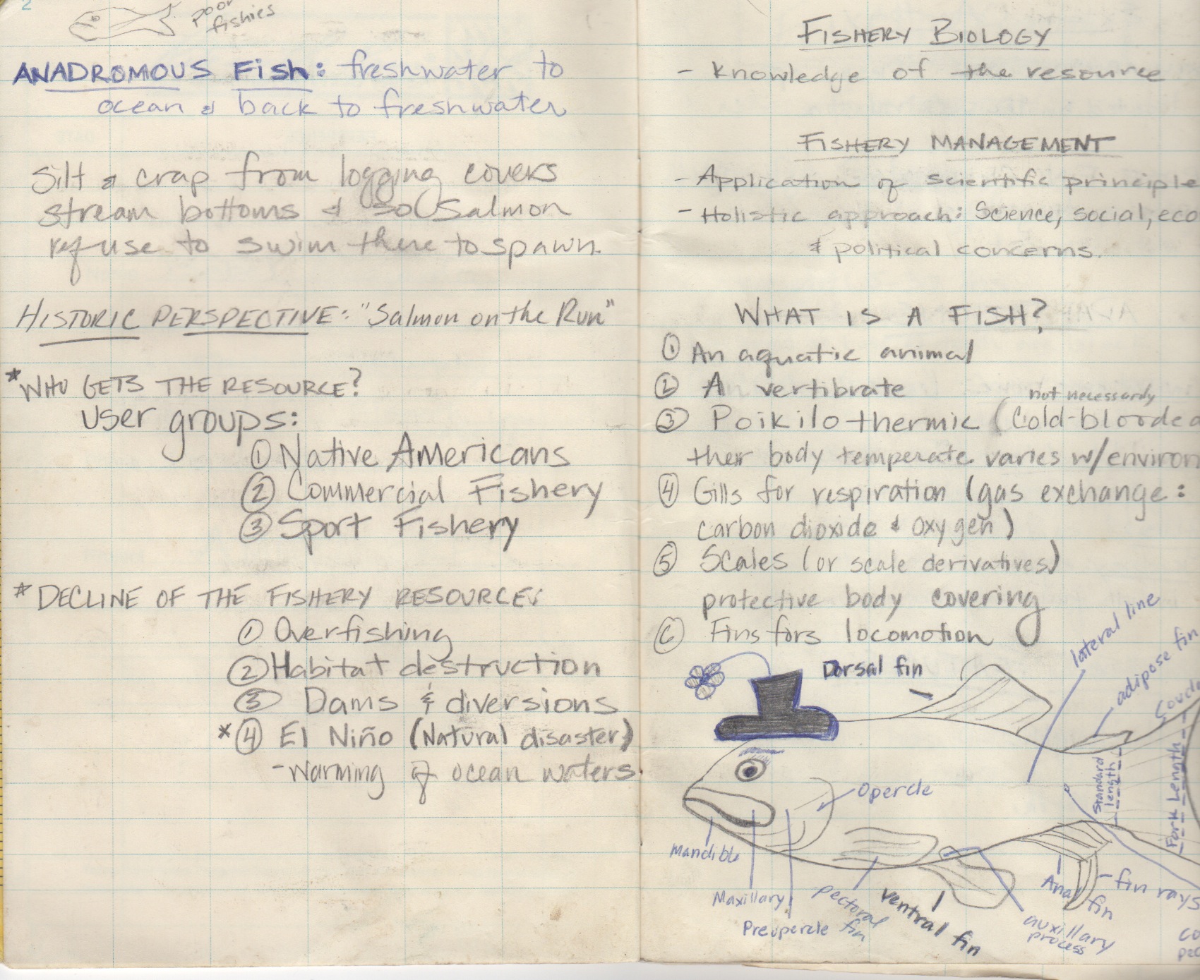 Old Journals Keep or Toss?