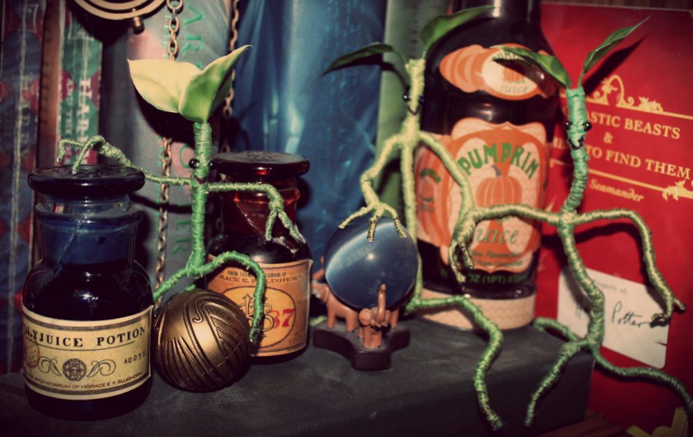 Make A Pet Bowtruckle Like Newt Scamander's GeekDad