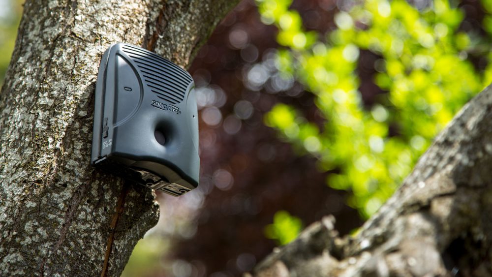 Reclaim the Silence With Dog Silencer Max GeekDad