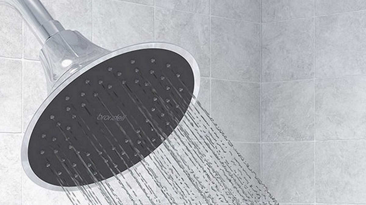 GeekDad Daily Deal VivaSpring Filtered Shower Head GeekDad