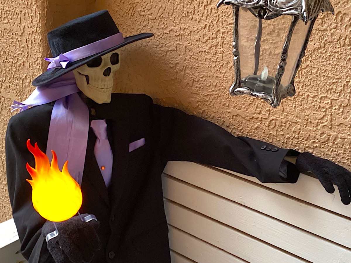 The Skeleton Diaries Our Own Skulduggery Pleasant GeekMom