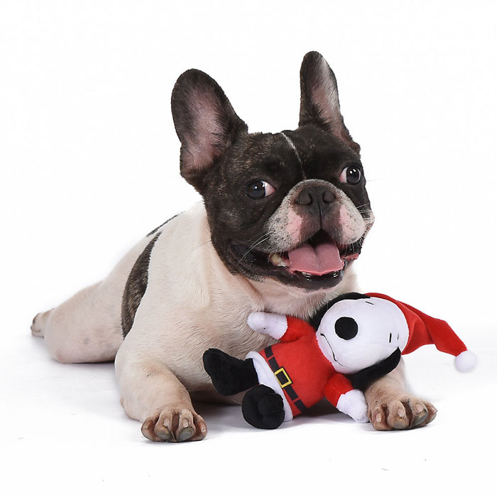 Snoopy Dog Toys & Pet Supplies For Sale