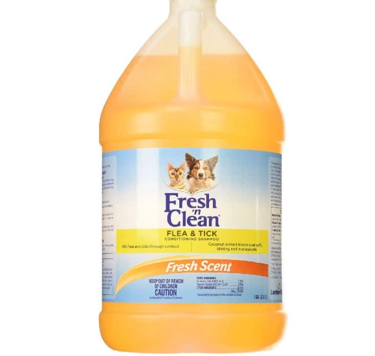 Best Dog Shampoos Best Ingredients Puppies and Pooches