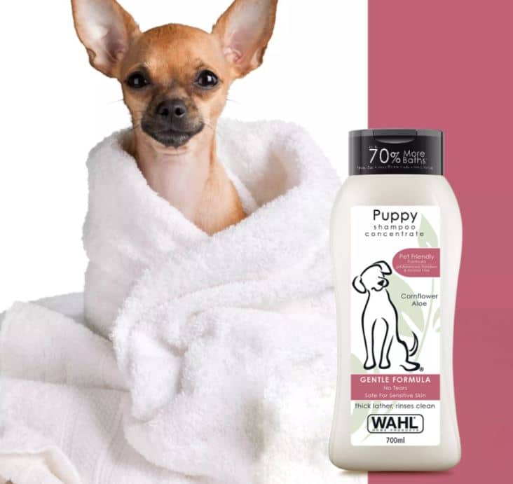 Best Dog Shampoos Best Ingredients Puppies and Pooches