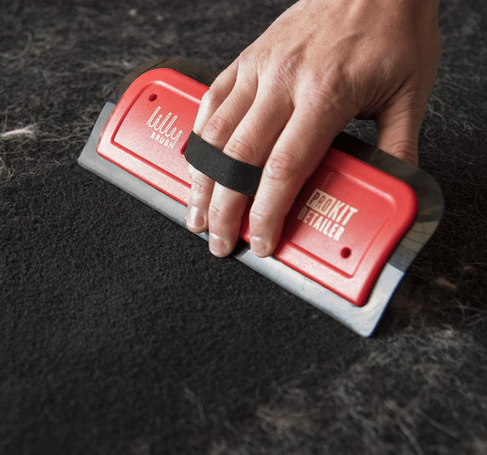 The Best Products To Clean Up Pet Hair! Dog Care