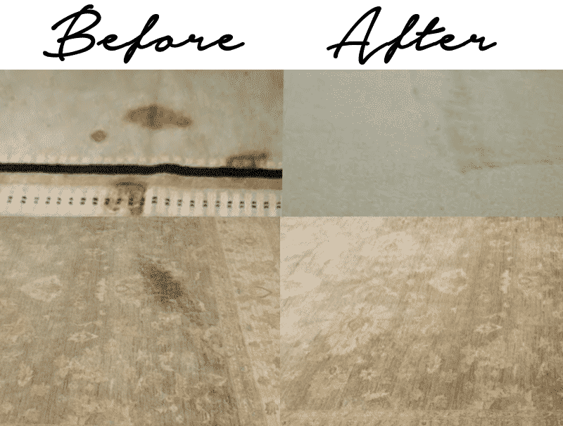 Scotchguarding Why not protect it? Nilipour Oriental Rugs