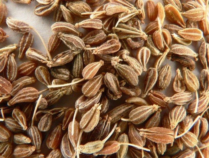 Anise Seed Essential Oil Get Natural Essential Oils