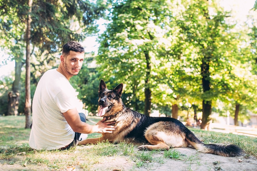 Health Benefits Of Owning A Dog The Out Door Wear