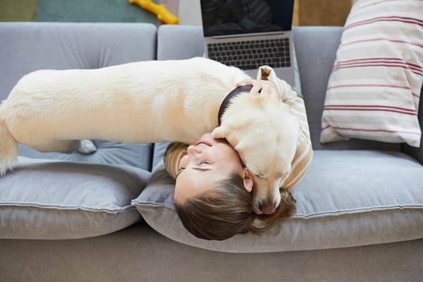 Health Benefits Of Owning A Dog The Out Door Wear