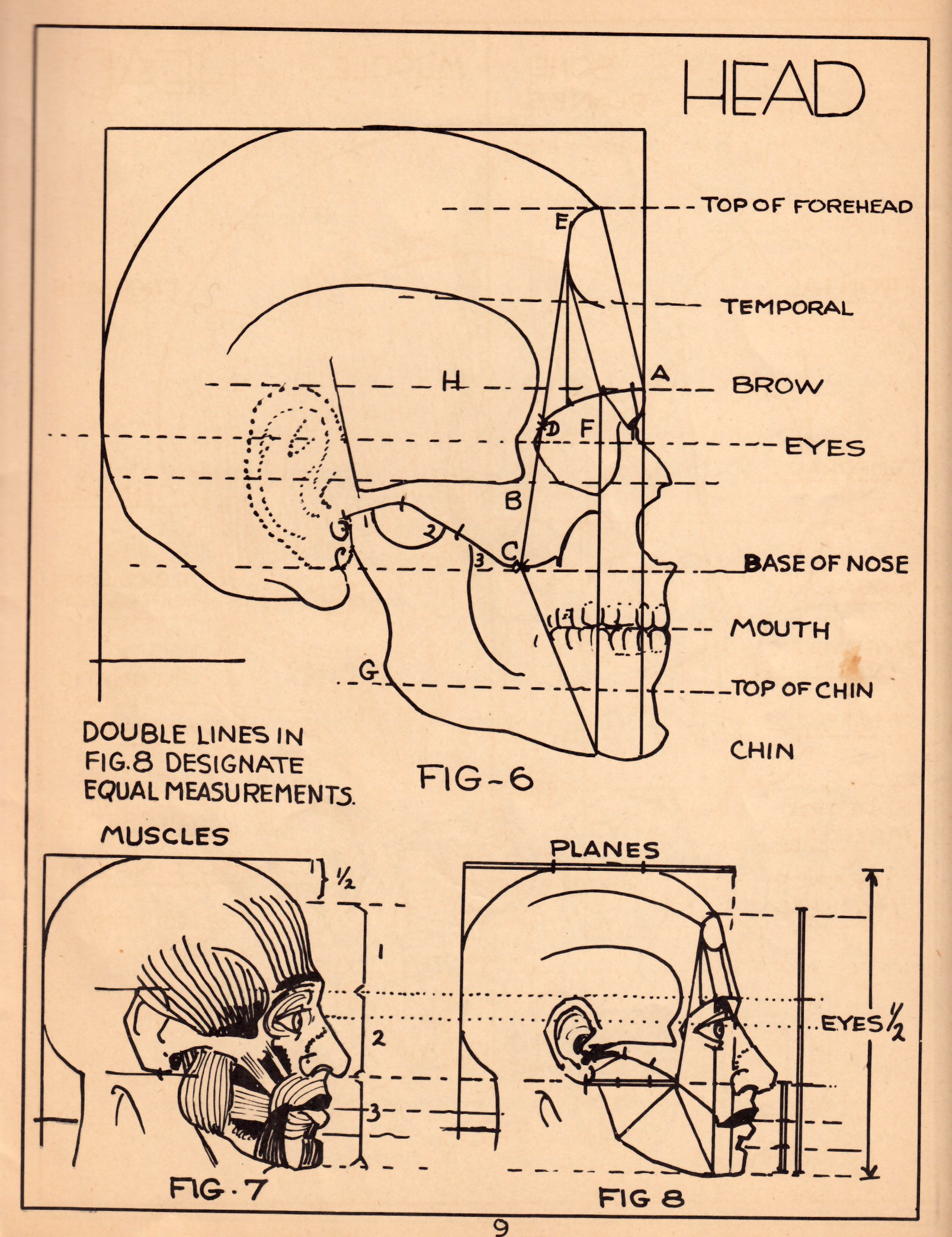 Attachment for Would You Buy A Used Anatomy From This Man? 3 PRINT