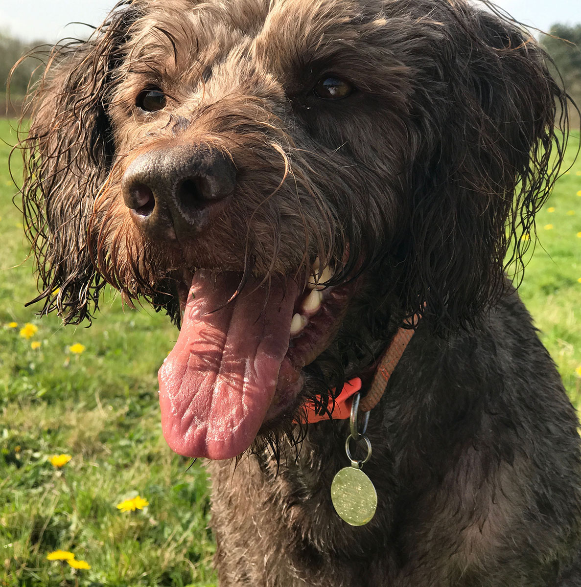 Planters Garden Centre North Warwickshire Tourism