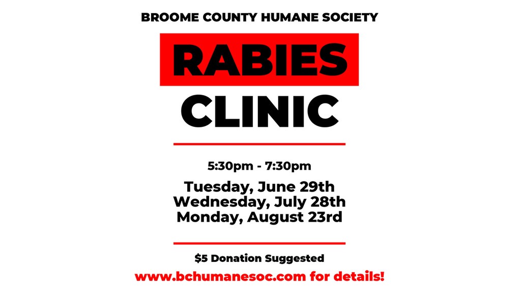 Monthly Rabies Clinics Broome County Humane Society