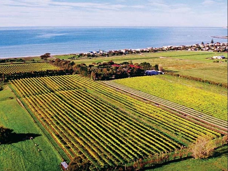 Clearview Estate triumphs at NZ International Wine Show Food Ticker