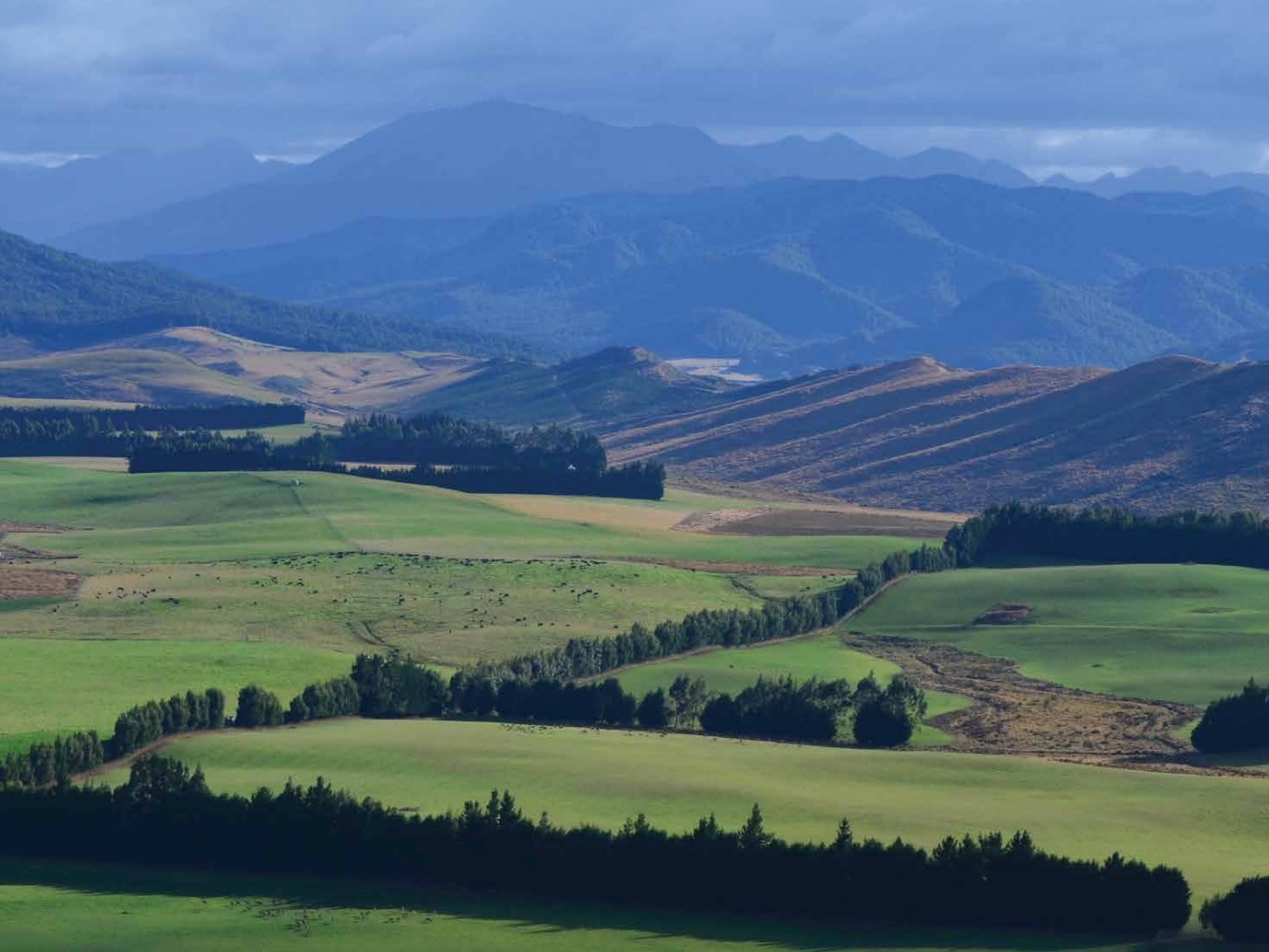 Pāmu voluntarily joins climate disclosure ranks - Food Ticker