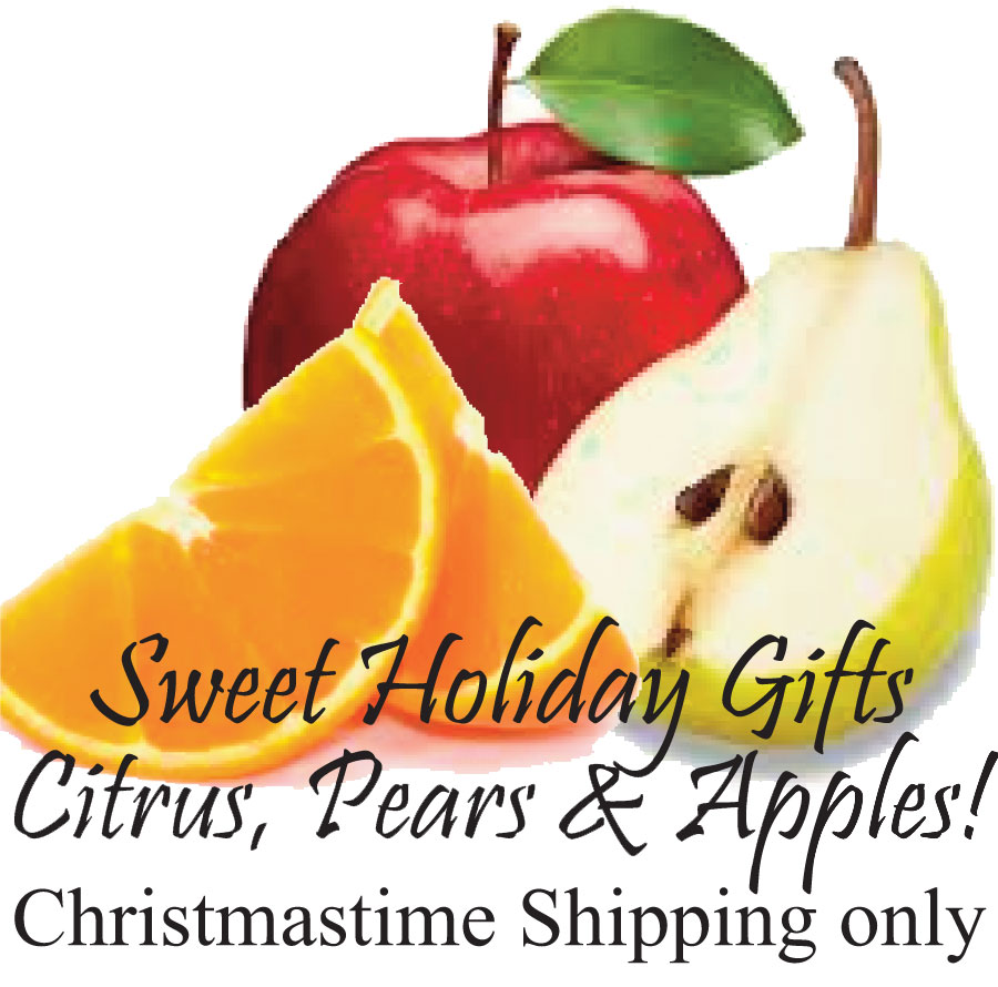 Dooley Groves, Inc Citrus Sensations Fresh Florida Citrus Gift Fruit