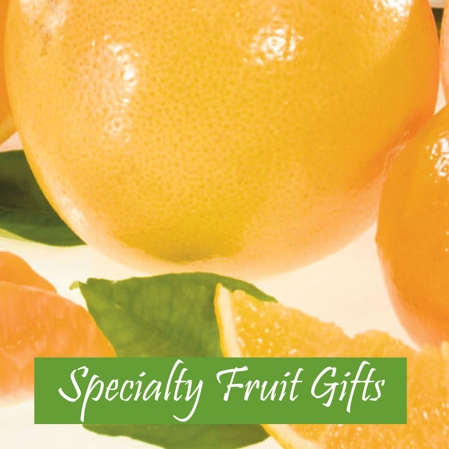 Dooley Groves, Inc Fresh Florida Citrus Gift Fruit from Dooley Groves
