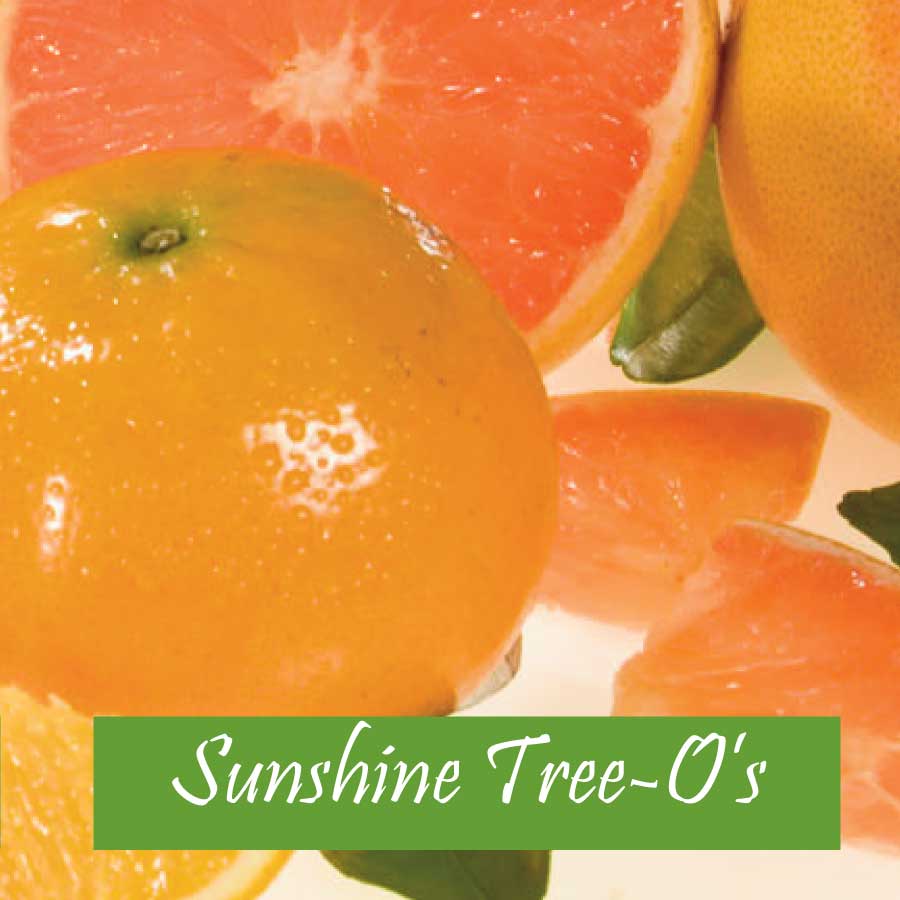 Dooley Groves, Inc Fresh Florida Citrus Gift Fruit from Dooley Groves