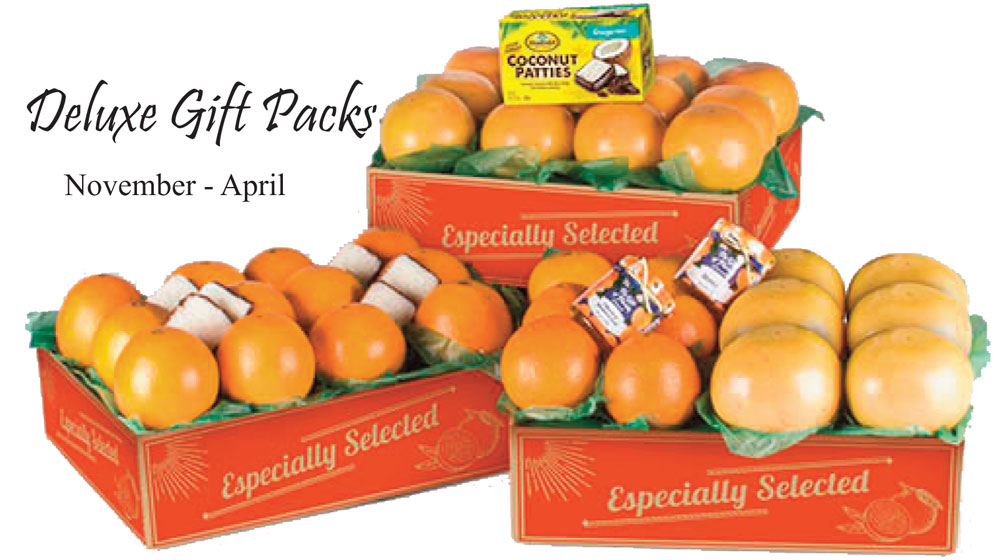 Dooley Groves, Inc Fresh Florida Citrus Gift Fruit Specialty Packs and Baskets from Dooley
