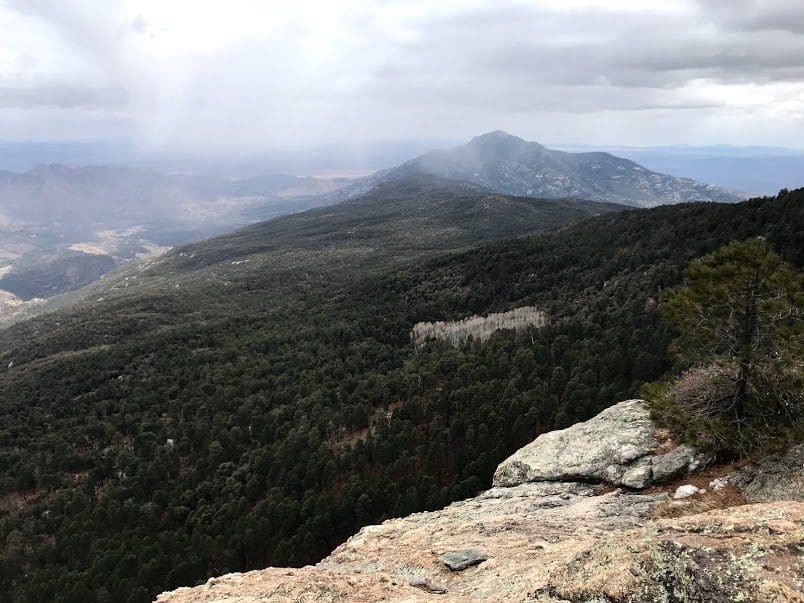 Learning about the secrets of the Rincon Mountains Western National