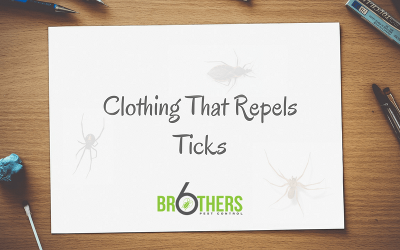 Clothing That Repels Ticks Six Brothers Pest Control