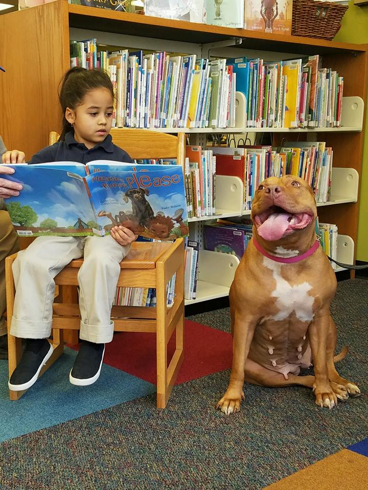 Associated Humane Societies Dog and Cat Food Grant (Invitation